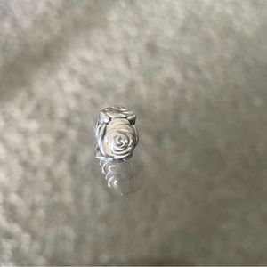Rose garden pandora charm